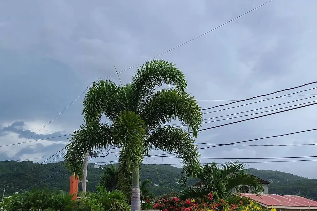 Willa Calabash Place Montego Bay 0*,  Jamajka